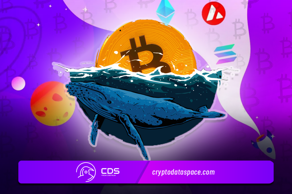 A Comprehensive Review On Crypto Whales Crypto Data Space