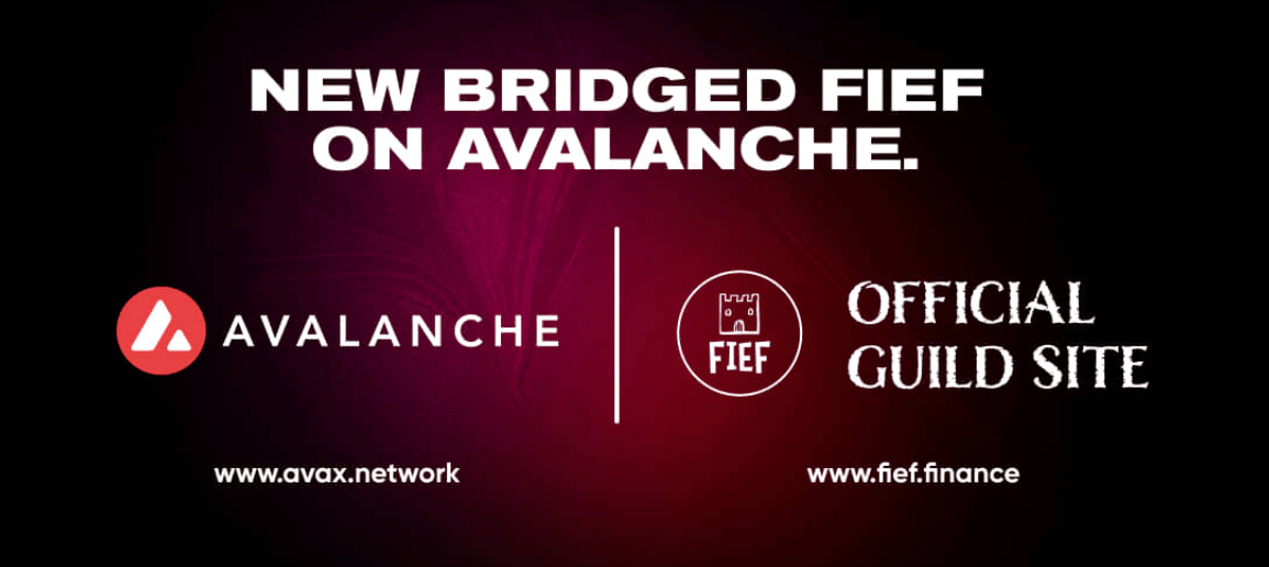 new bridged fief on avalanche