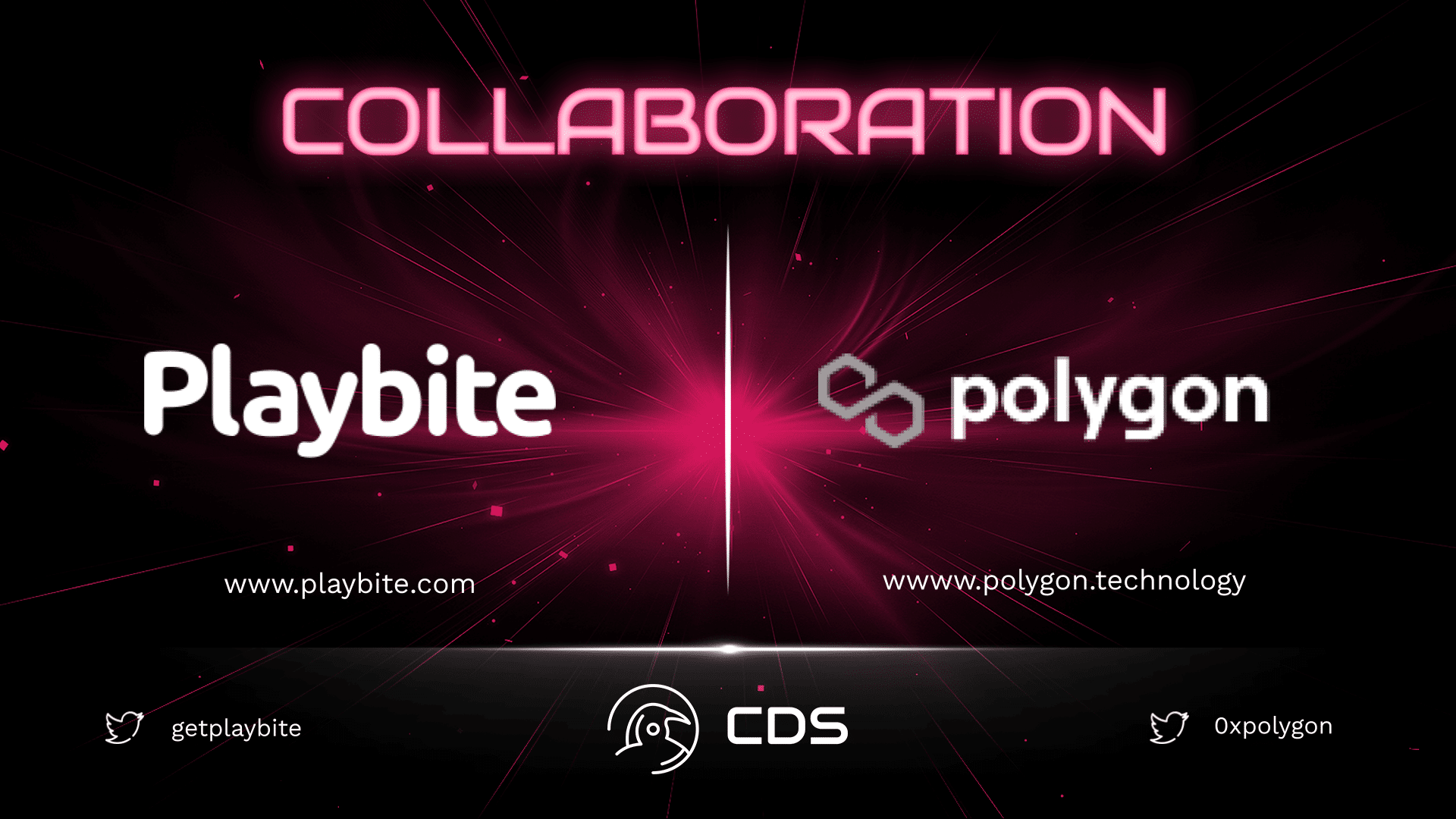playbite collaboration with polygon