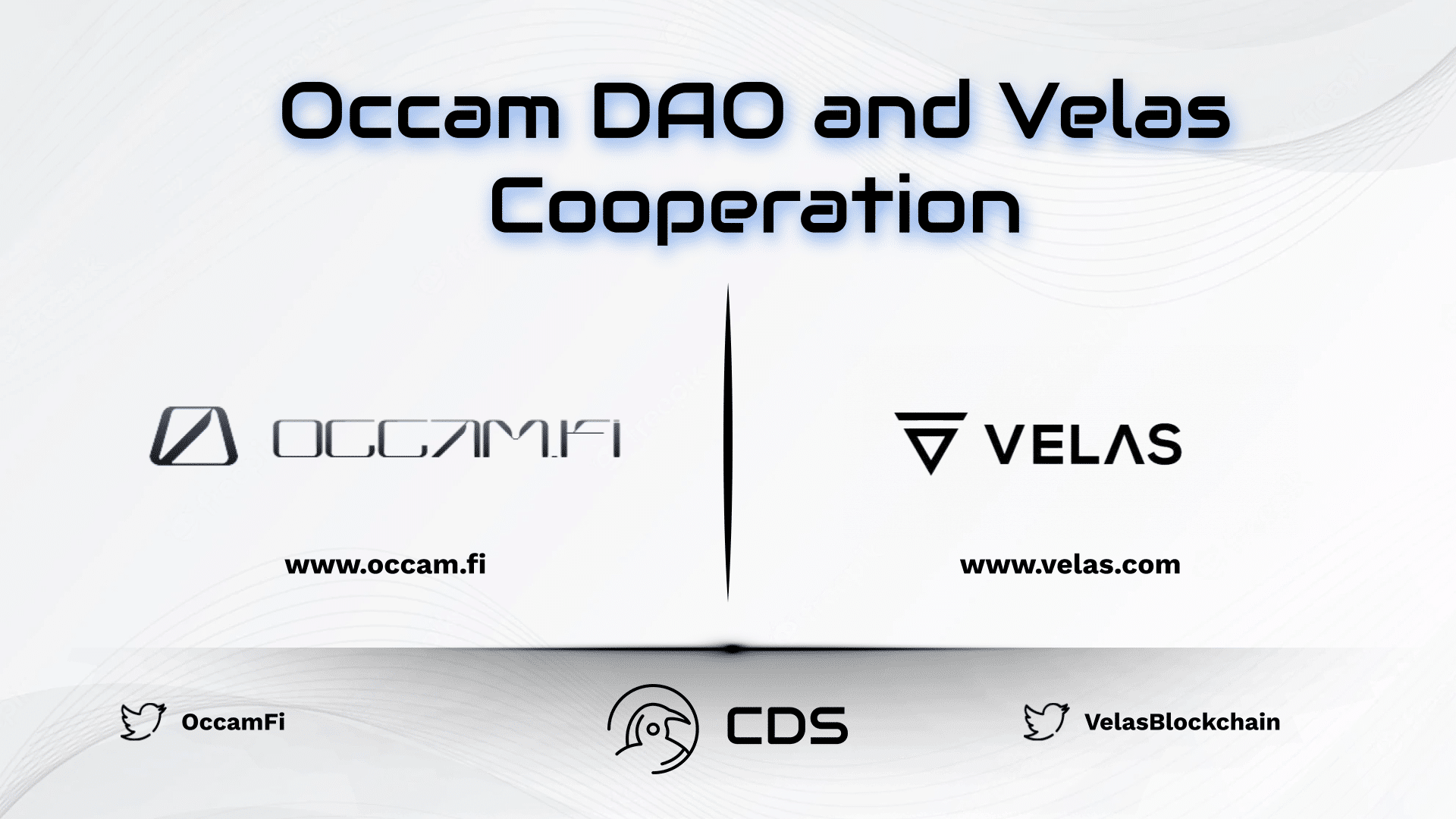 Occam DAO and Velas Cooperation