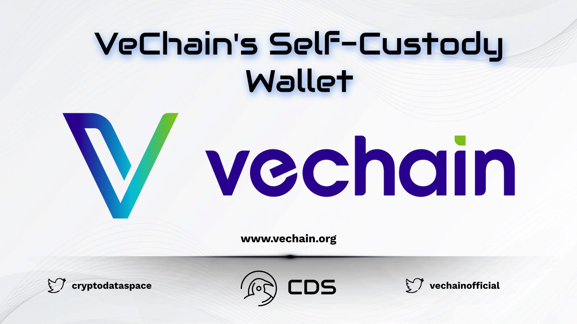VeChain's Self-Custody Wallet