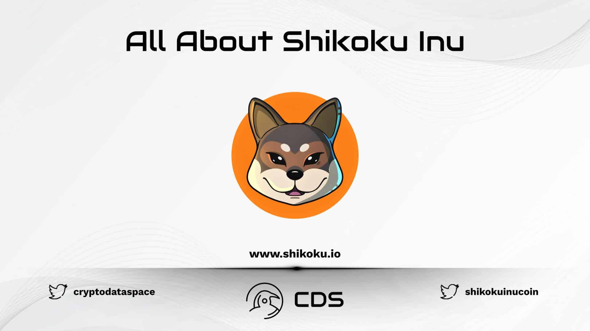 All About Shikoku Inu