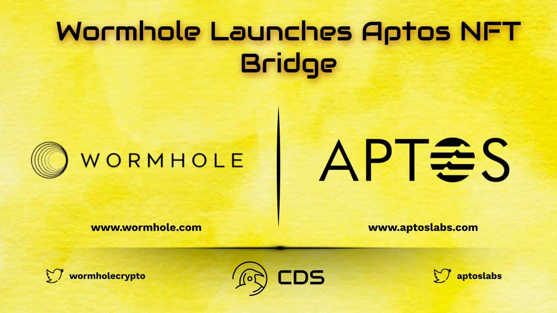 Wormhole Launches Aptos NFT Bridge