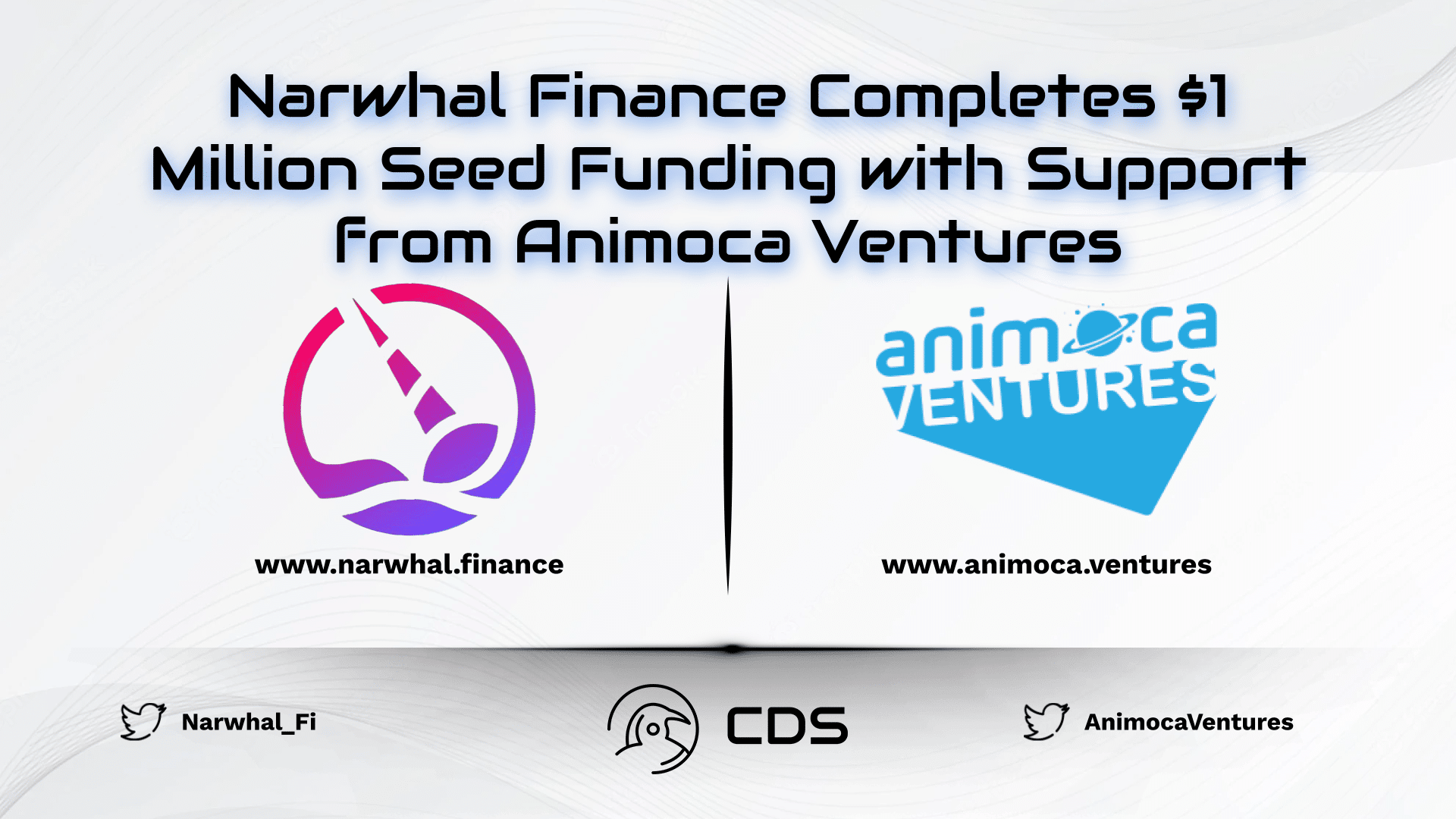 Narwhal Finance Completes $1 Million Seed Funding with Support from Animoca Ventures