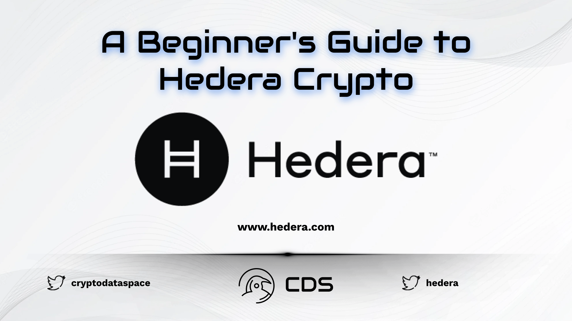 A Beginner's Guide to Hedera Crypto - 2023
