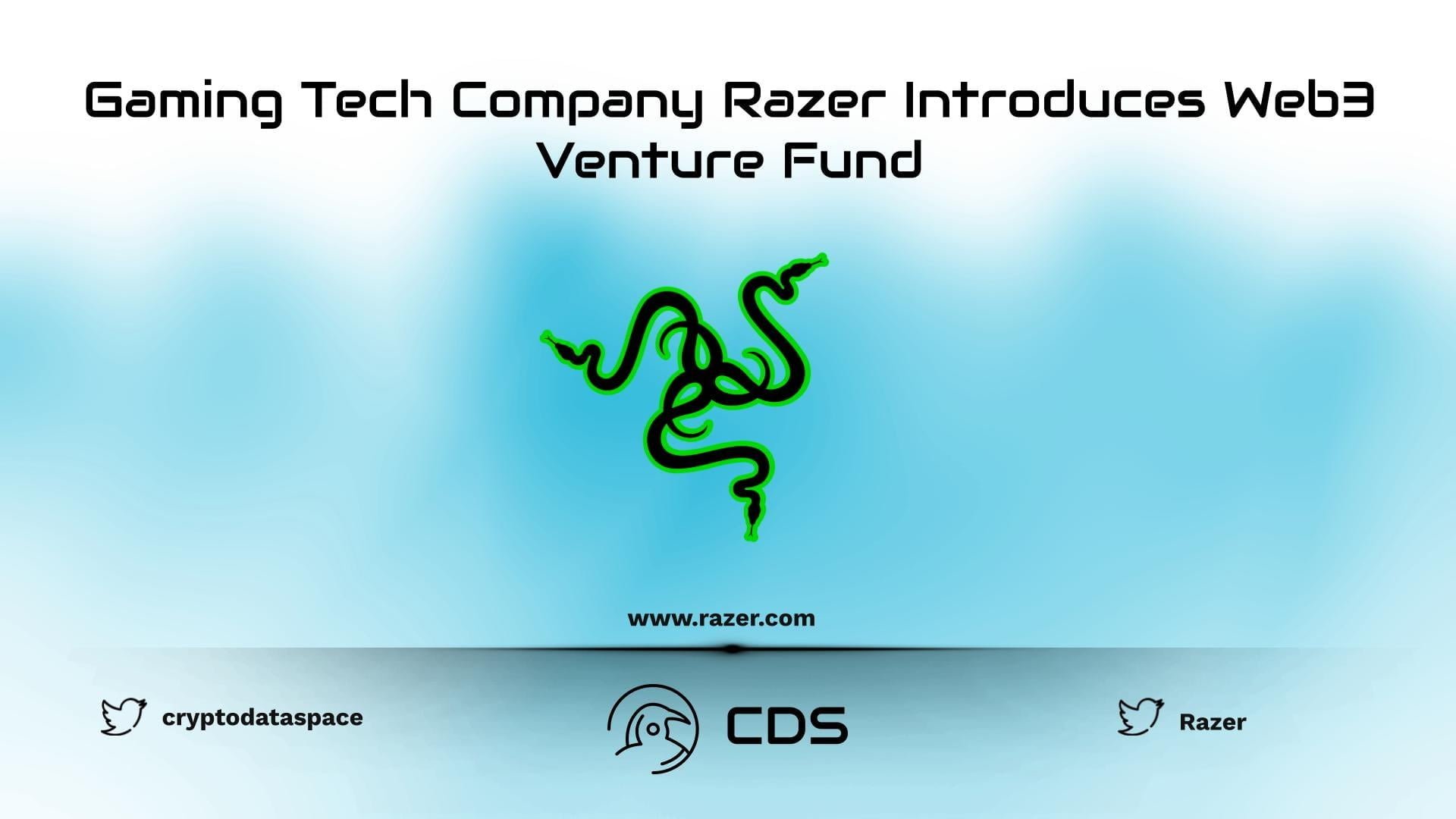 Gaming Tech Company Razer Introduces Web3 Venture Fund