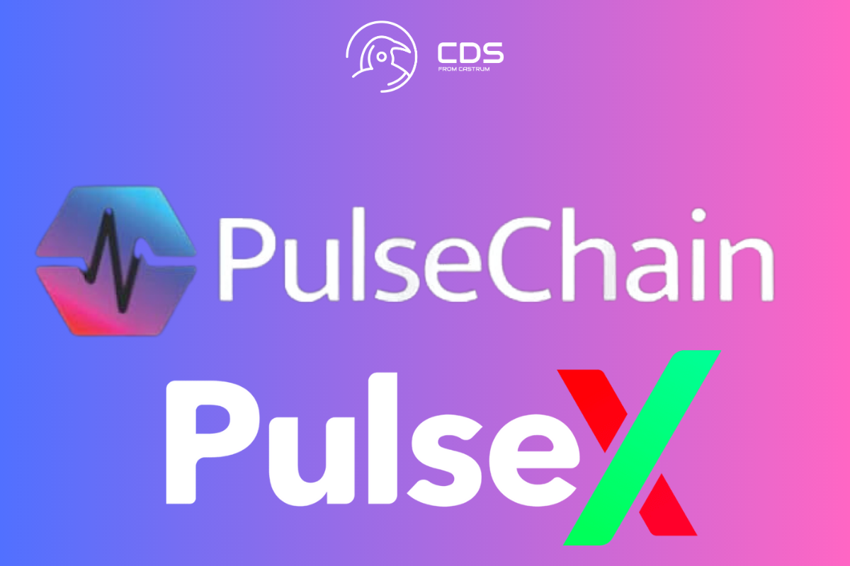 What Is Pulse X Crypto And What Makes It Unique? | Crypto Data Space 2023