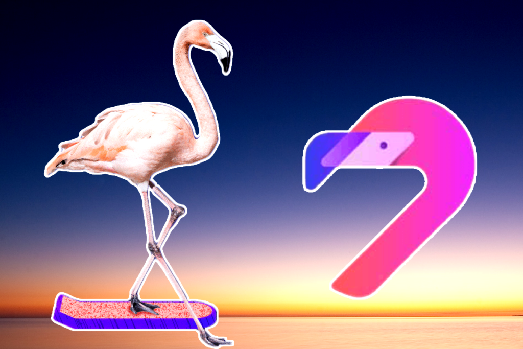 A Comprehensive Guide To Flamingo Crypto – 2023