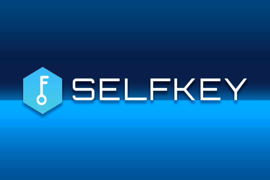 SelfKey Kripto (KEY) İçin Kapsamlı Bir Rehber - 2023