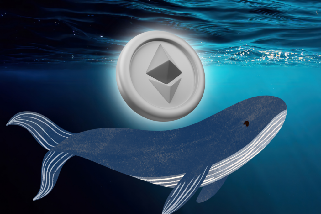 The Large ETH Whale Makes 16 Million Worth of Transactions This Time