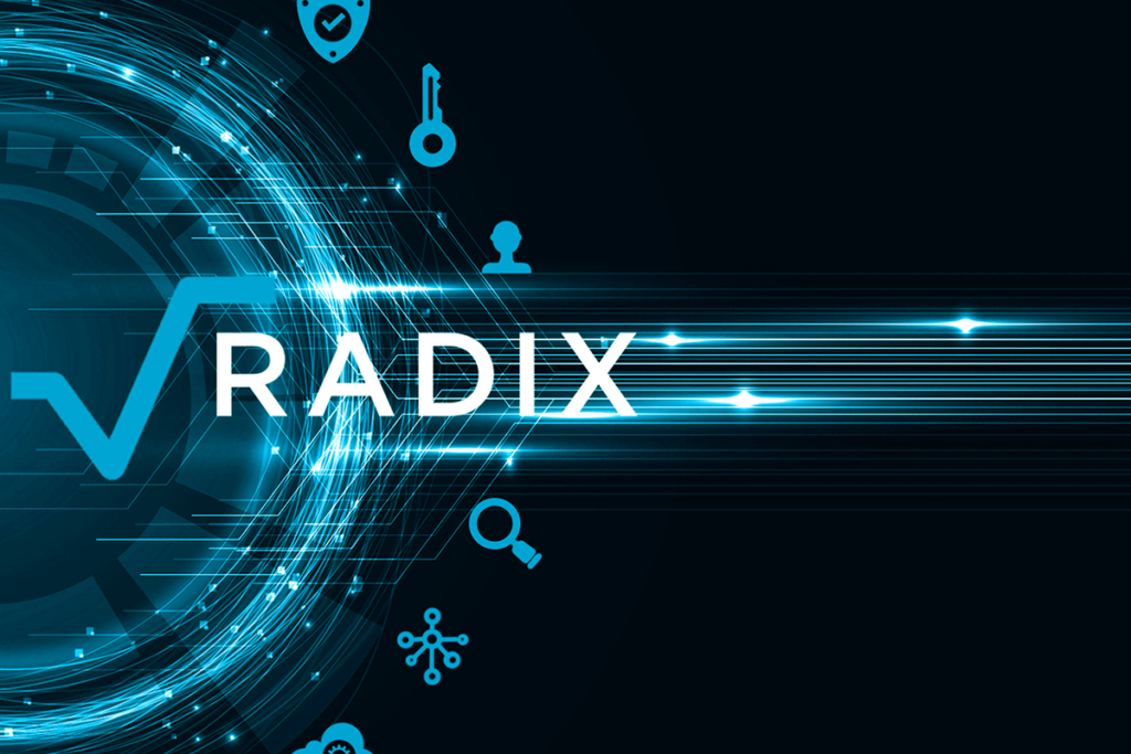 What is Radix Crypto