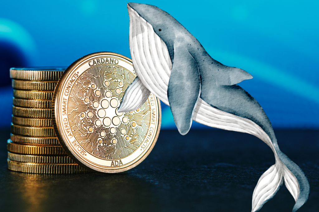 Cardano (ADA) and Chainlink (LINK) Prices Surge with Whale Support: What’s Next?