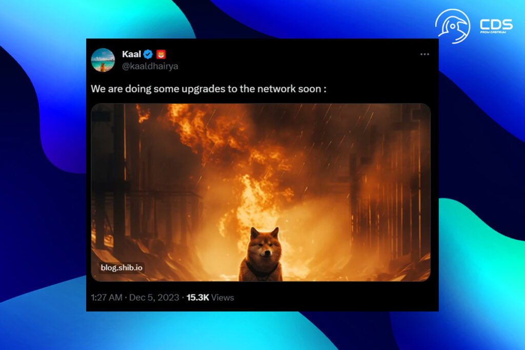 Breaking News: Shiba Inu Burn Rate Rises to 7.687.000% After Significant Updates