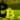 Crypto News: X Payment System Diversifies, Ventures into Bitcoin Mining