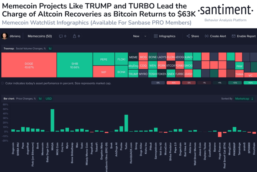 Crypto Market Sees Surge as Trump's Endorsement Sparks Memecoin Revival