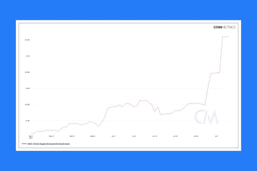 Expectations for a Rise in Cardano Price: New Developments