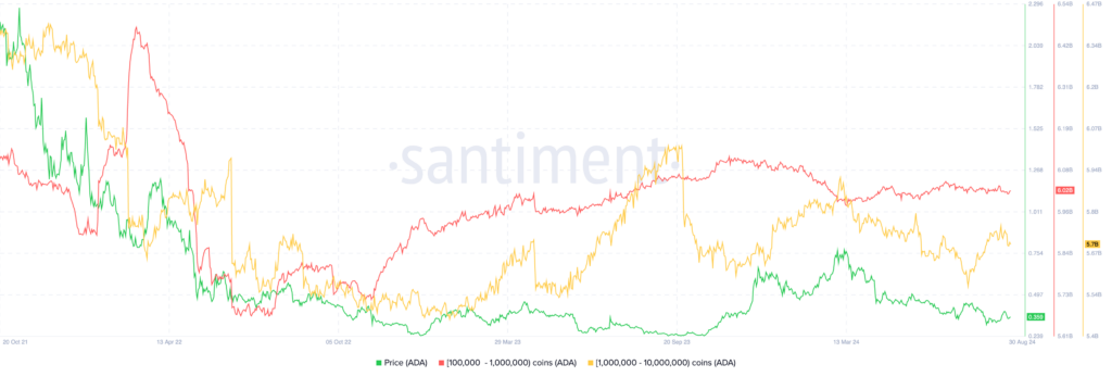 6 XRP Rivals That Could Turn $1,000 into $10,000