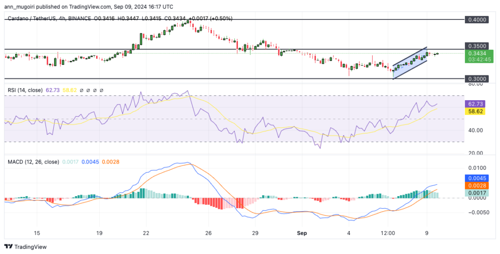 Cardano (ADA) Price Sees Bullish Momentum Amid Major Wallet Transfer Activity