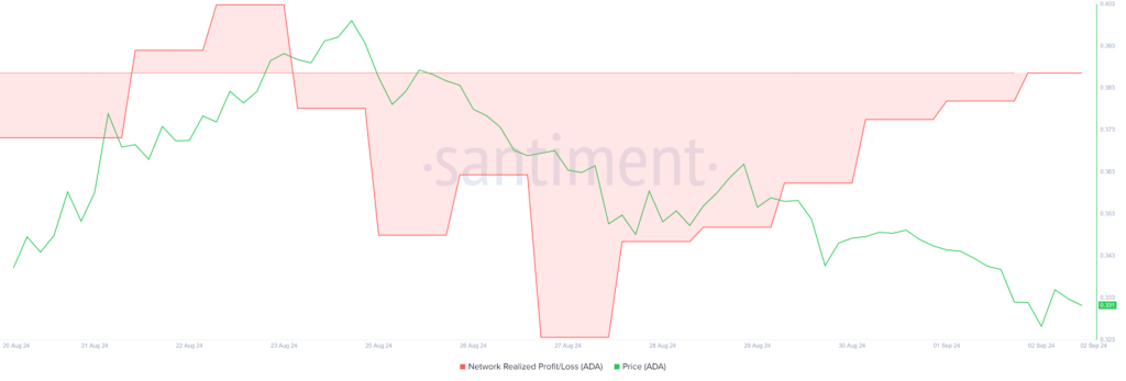 Cardano Price Surges Following Successful Chang Hard Fork