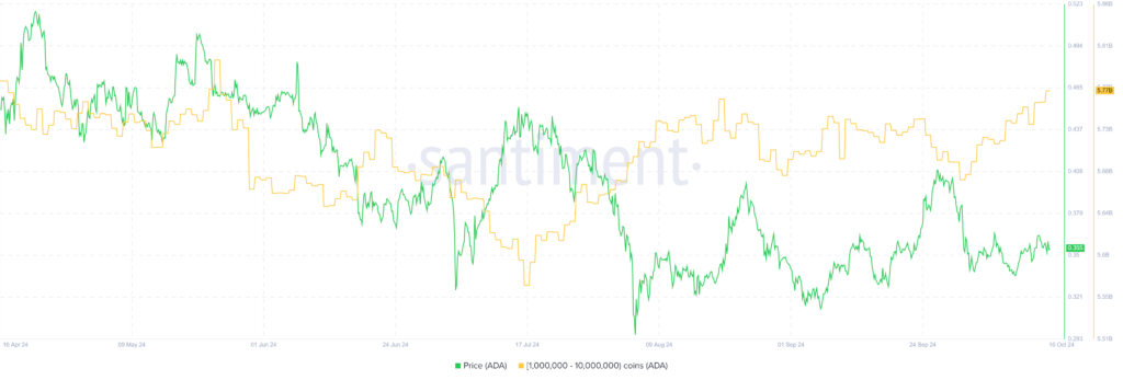 Is Cardano Price Ready to Break Out of Its 4-Month Consolidation?