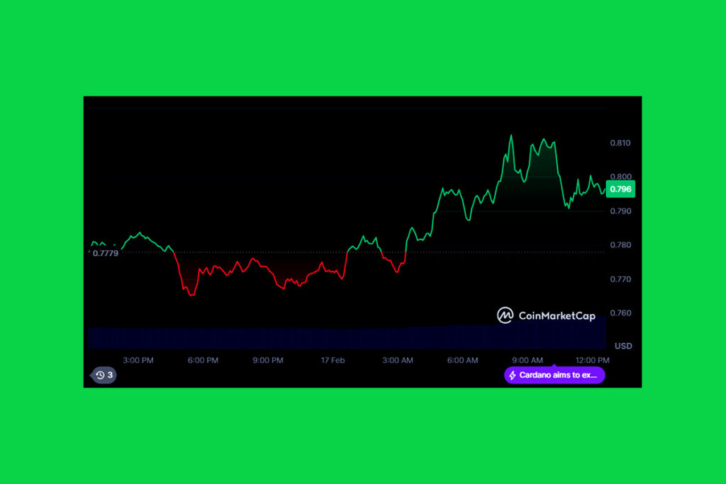 Solana Faces Intense Sell-Off: Key Support Levels In Danger!