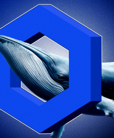 Chainlink Whale Transactions Spike Are Whales Preparing for a Pump