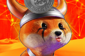 Floki-Crashes-to-Crucial-Support-Watch-This-Support-Level-Closely