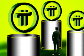 Is-the-Pi-Network-Dual-Value-Model-a-Game-Changer-or-a-Risky-Gamble