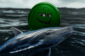 PEPE-Loses-Momentum-Is-the-Meme-Coin-Bubble-Bursting