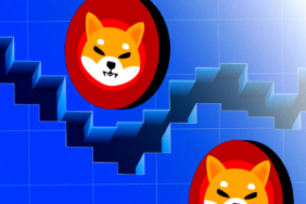 Shiba-Inu-Tanks-to-16-Month-Low-But-This-Could-Be-the-Perfect-Buy-Zone