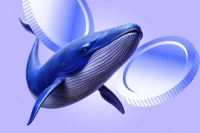 XRP-Drops-Despite-Whale-Activity-Is-More-Pain-Ahead