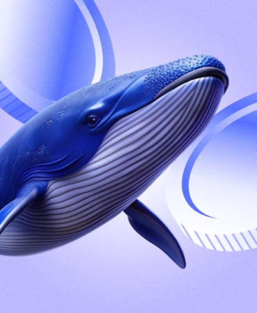 XRP-Drops-Despite-Whale-Activity-Is-More-Pain-Ahead