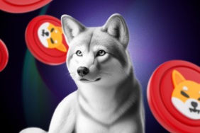 Shiba Inu Price Prediction 2025: Community Strength Amid Market Challenges