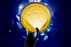 Bitcoin Whale Activity Rises, Profit-Taking Declines