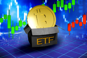 Bitcoin ETFs Dominate Digital Asset Inflows in 2025