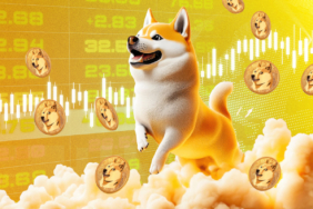 Dogecoin Falls Behind as Bitcoin Surges!