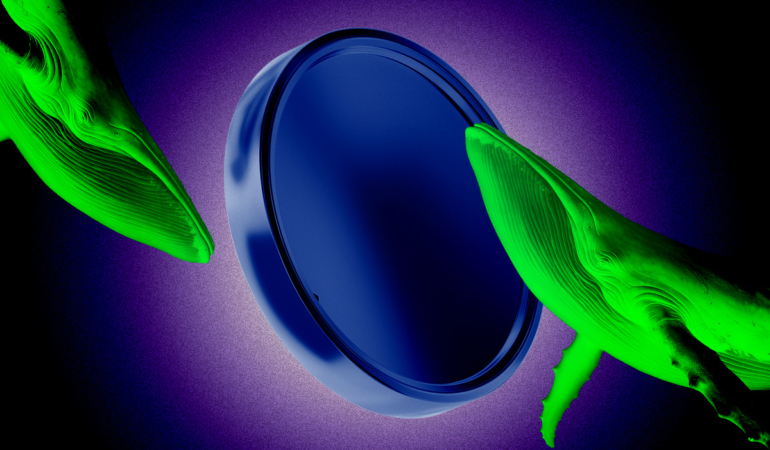 James Wynn’s Crypto Whale Wallet Faces Big Liquidation