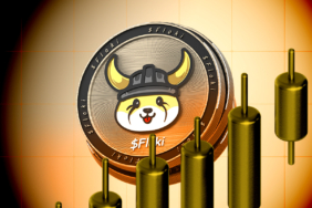 FLOKI Rally Fueled by Positive Funding and Growing User Activity