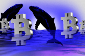 BTC Price Pauses: Is $115K the Next Key Support Level?