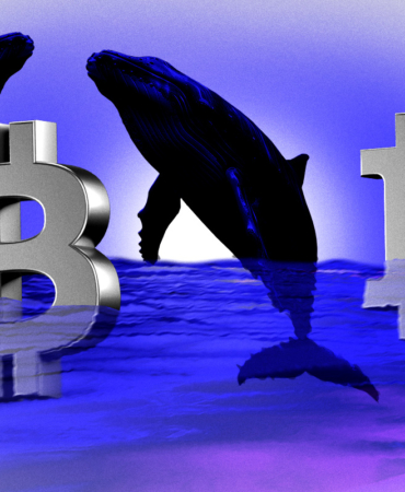 BTC Price Pauses: Is $115K the Next Key Support Level?