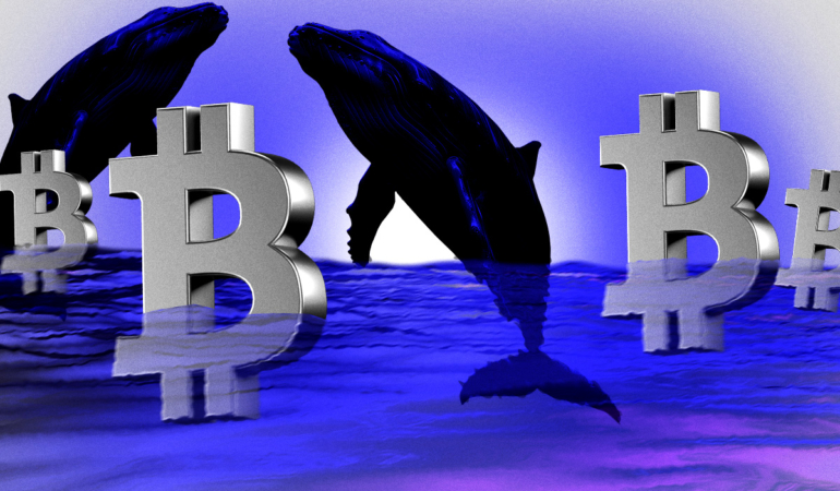 BTC Price Pauses: Is $115K the Next Key Support Level?