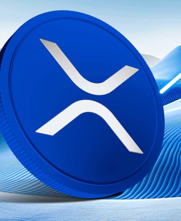 XRP Price Holding Strong: Key Support Levels to Watch