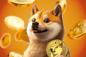 DOGE Price Drops 6%, But Whales Are Buying Big