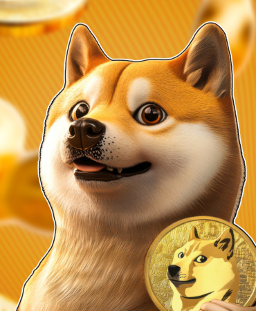 DOGE Price Drops 6%, But Whales Are Buying Big