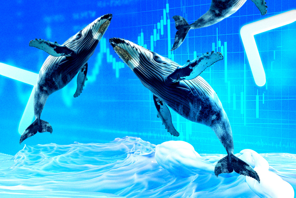 HYPE Price Analysis: Whale Activity and Market Trends