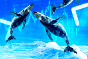 HYPE Price Analysis: Whale Activity and Market Trends