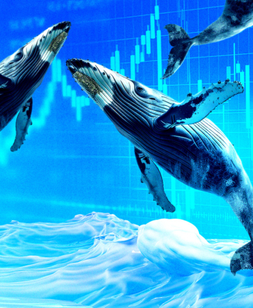 HYPE Price Analysis: Whale Activity and Market Trends