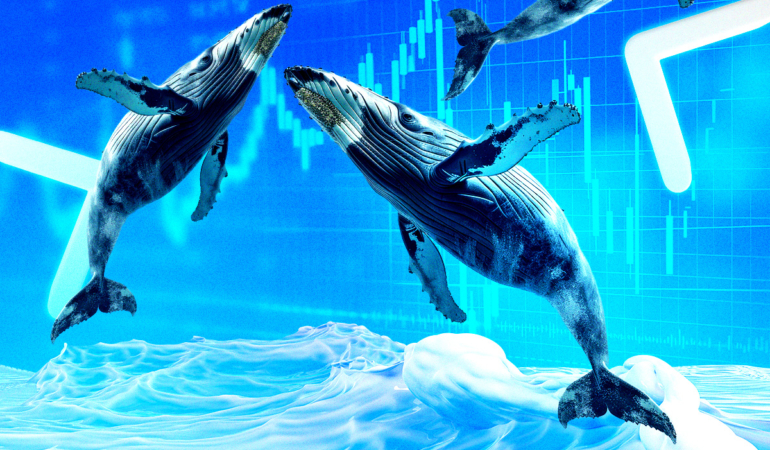 HYPE Price Analysis: Whale Activity and Market Trends