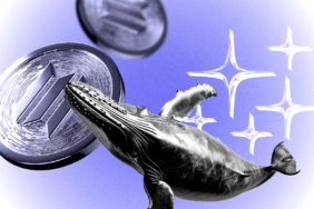 SOL Price Alert: Key Resistance Tests as Whales Bet Big