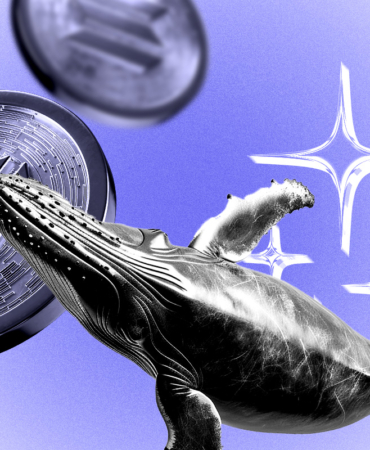 SOL Price Alert: Key Resistance Tests as Whales Bet Big